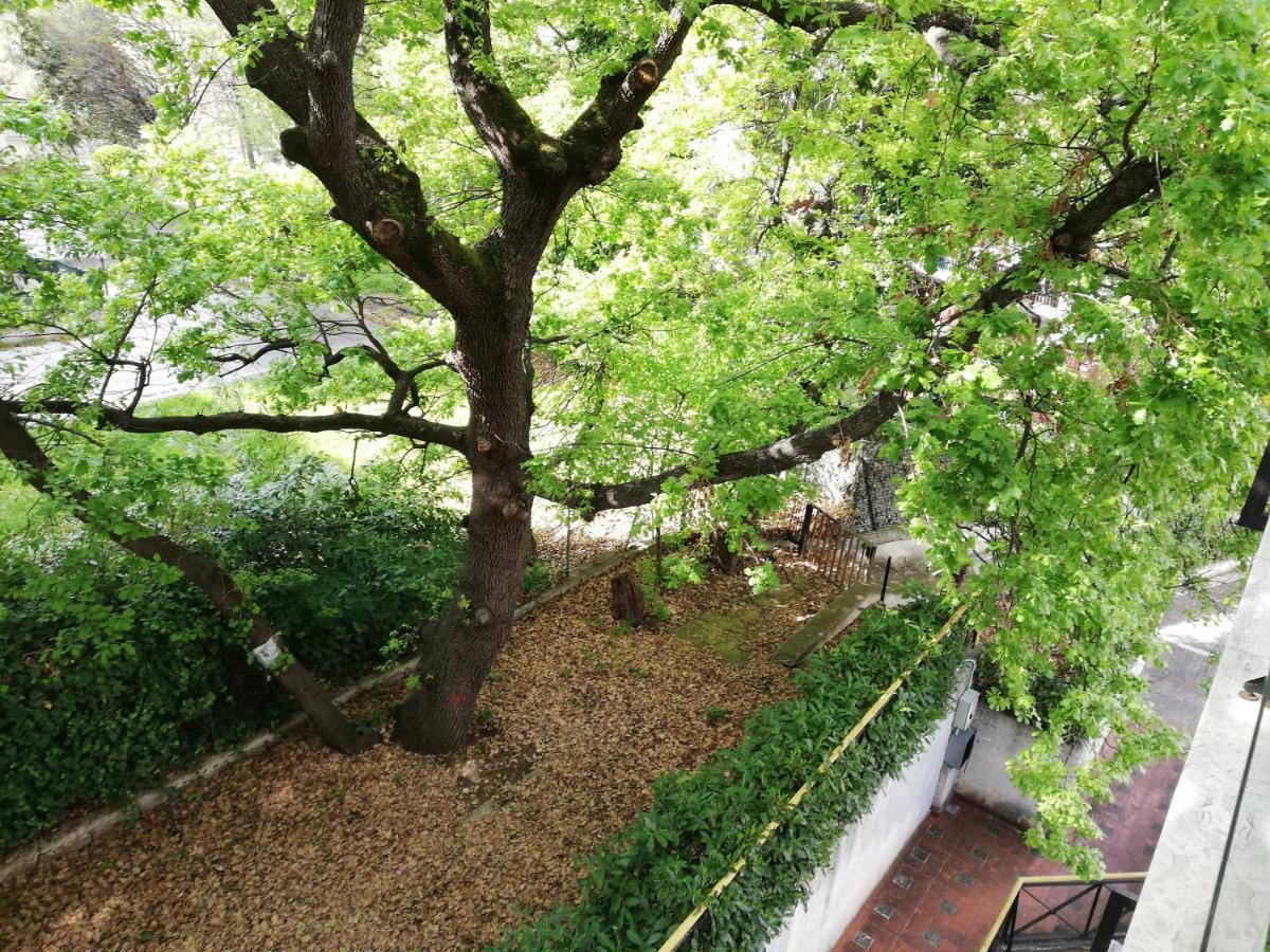 Sole & Querce Apartments- Bike Friendly With Garage 란치아노 외부 사진